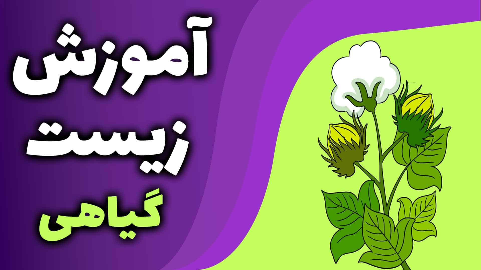 آموزش زیست گیاهی بیستصد
